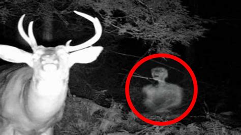 5 Creepy And Unexplained Trail Cam Photos Youtube