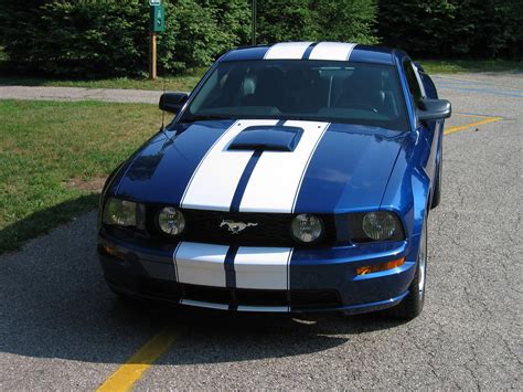 Racing Stripes Wallpapers Movie Hq Racing Stripes Pictures 4k