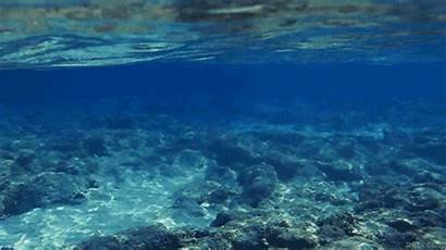 Underwater Tropical Under Sea Nature Ocean Summer