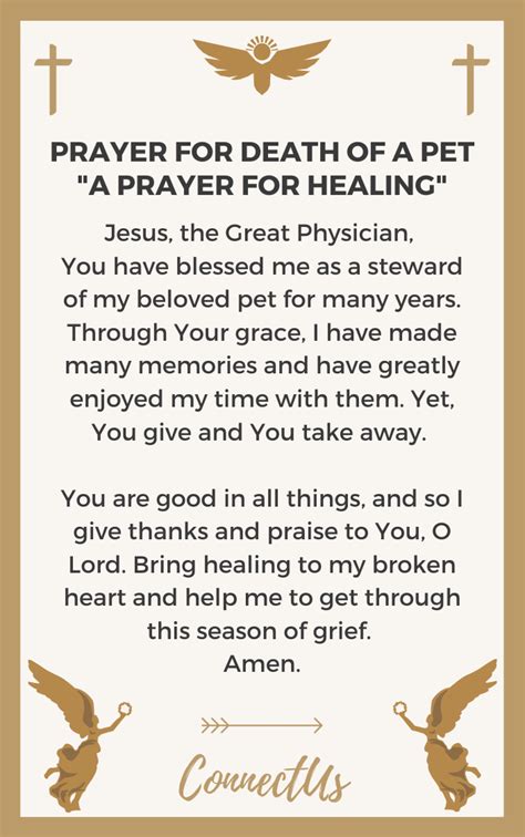 Free pet loss ecard and words of encouragement, dog sympathy and dog loss quotes for schnauzer lovers. 10 Uplifting Prayers for Death of a Pet - ConnectUS