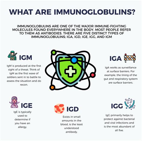 Immunoglobulins For Gut Inflammation Leaky Gut And Gut Infection Bridgit Danner Functional