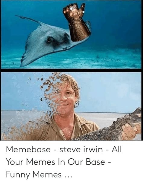 Memebase Steve Irwin All Your Memes In Our Base Funny Memes