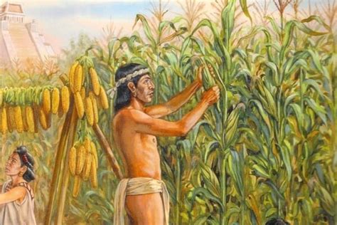 Origen De La Agricultura Evoluci N De La Agricultura En La Historia