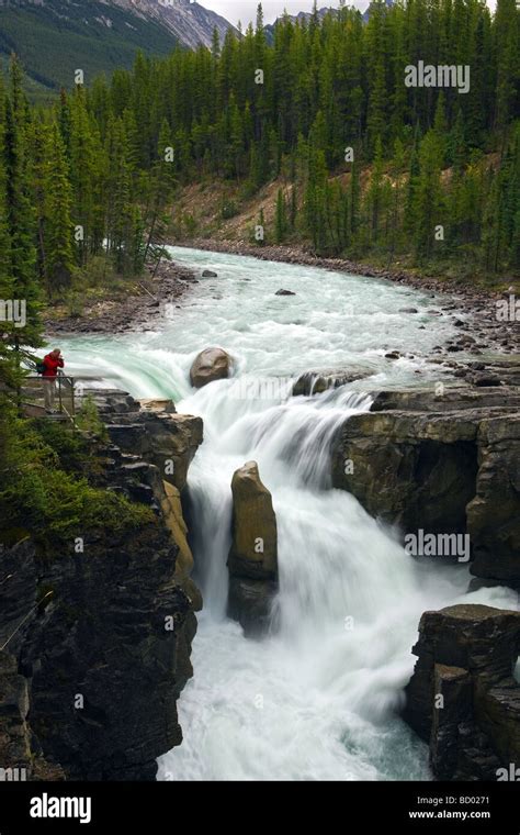 Sunwapta Falls In Jasper National Park Alberta Canada Stock Photo Alamy