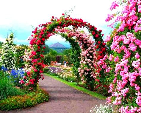 Free Download Ko 83 Beautiful Garden Wallpapers Pictures Of Beautiful