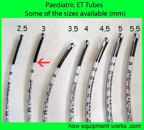 Endotracheal Tube Size Right
