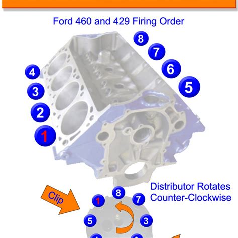 Ford 289 And 302 V8 Firing Order Animation Wiring And Printable