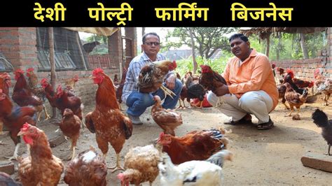 Desi Poultry Farm Desi Murgi Palan Desi Chicken Farming In India