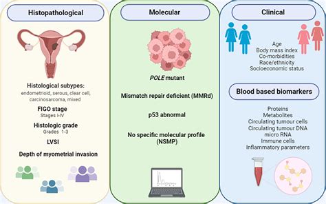 Frontiers Current And Emerging Prognostic Biomarkers In Endometrial