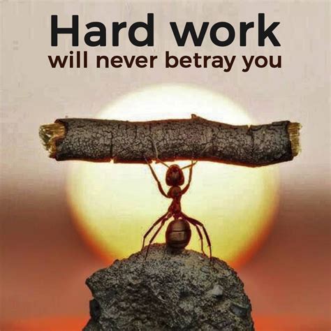 Hard Work Motivation Quote Inspiration