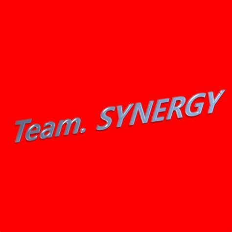 Team Synergy 여수여천 자동차동호회