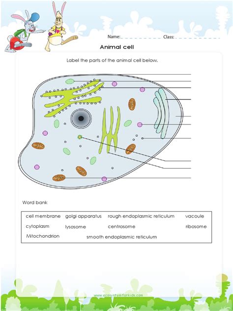 Retroviral stable packaging cell lines are established cell lines which are deliberately and stably transfected with 'helper constructs' to ensure. Step 3 Science Animal-cell-diagram