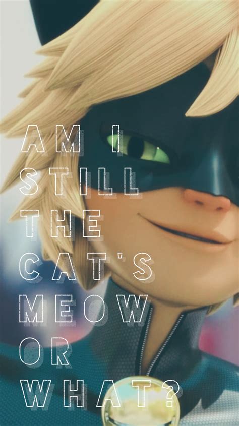 Cat Noir Aesthetic Wallpaper Collage Images And Photos Finder