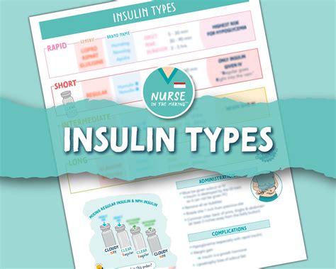 Insulin Types Cheat Sheet Pharmacology Nursing Notes Etsy Types