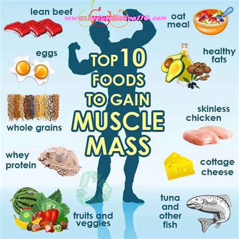 How To Gain Muscle Diet Muscle Foods Mass Gain Healthy Fitness Tips