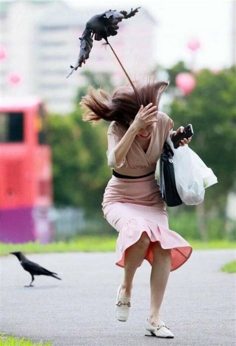38 Perfectly Timed Photos Wow Gallery Ebaum S World
