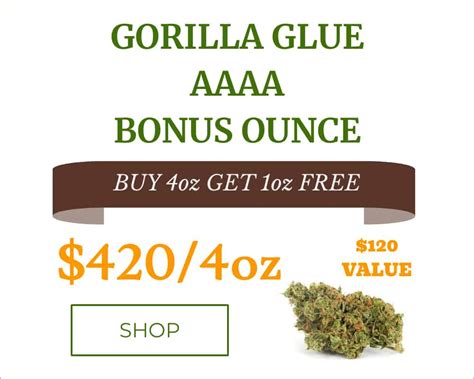 Gorilla Glue Strain High Quality Cannabis Strain Budlyft