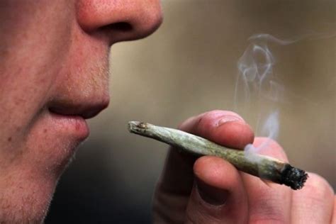 Las Drogas Ilegales Más Populares Según Global Drug Survey Cannabis