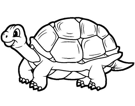 Print Tortoise Coloring Page Download Print Or Color Online For Free