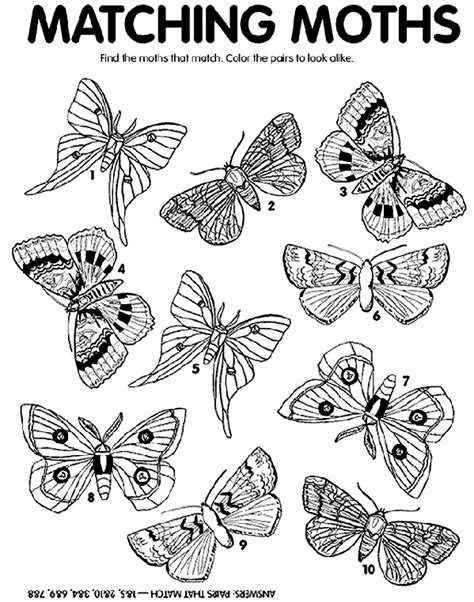 Download or print the {image|picture} below. Moth Match Coloring Page | crayola.com