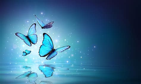 Magic Butterflies On Water Stock Photo Download Image Now Butterfly