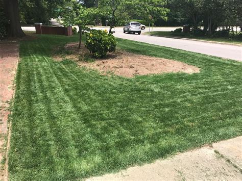 How Do I Overseed My Lawn