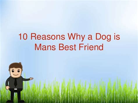 10 Reasons Why A Dog Is Mans Best Friend