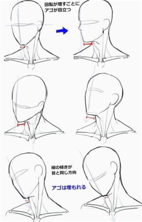 View 16 Male Anime Face Anatomy Breadiconicbox