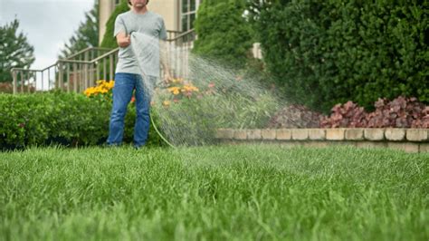 Secrets Of A Lush Lawn Expert Tips For A Greener Healthier Yard