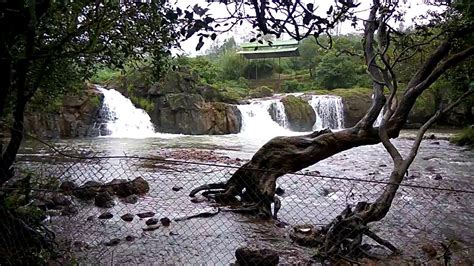 Lingmala Waterfall Mahabaleshwar Waterfall Mahabaleshwar Outdoor