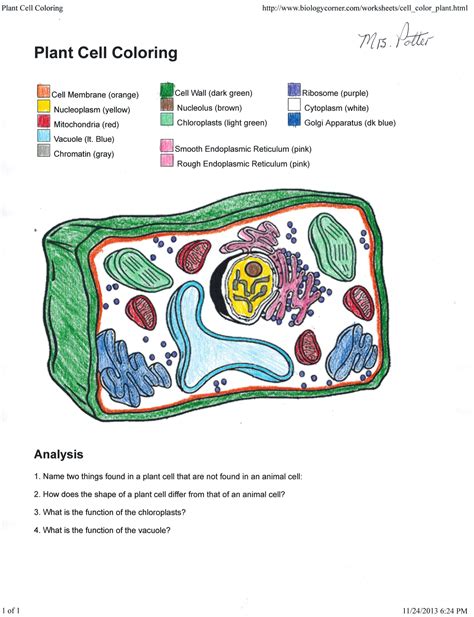 Image of a typical animal cell needs to be colored according to the directions. Plant Cell Coloring Key 0 On Plant Cell Coloring Key ...