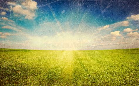 Sunset Sun And Green Grass Field Stock Image Image Of Clear Cloudy