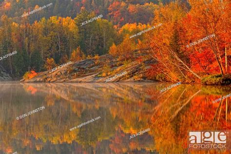 Simon Lake With Morning Fog And Autumn Reflections Greater Sudbury
