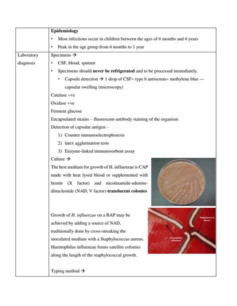 Solution Gram Negative Rods Causing Respiratory Infection Studypool