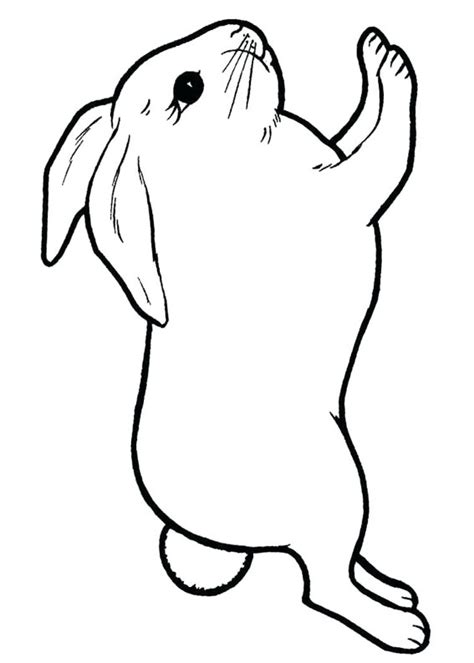 Disegni Di Conigli Da Colorare Pianetabambini It Coloriamo