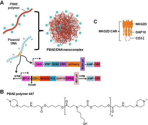 Purinergic targeting enhances immunotherapy of CD73+ solid tumors with
