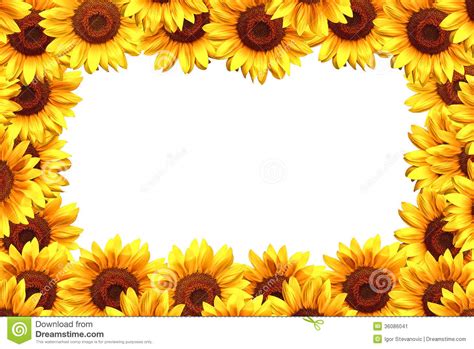 Sunflower Frame Stock Image Image 36086041