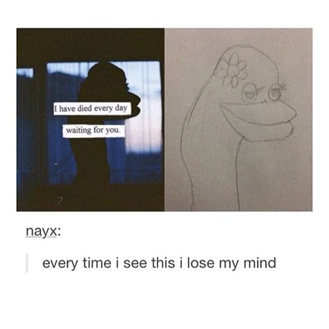 Brain Teaser Love Is In The Air Funny Tumblr Posts Whats Going On