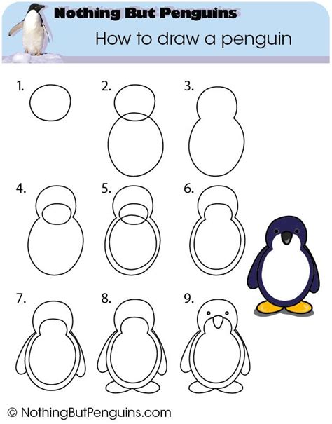 How To Draw A Penguin