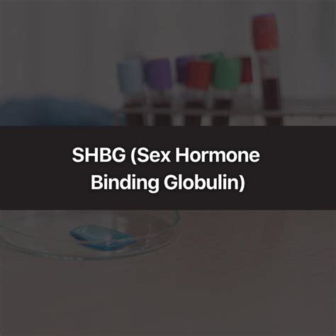 Shbg Sex Hormone Binding Globulin Blood Work Test Wittmer
