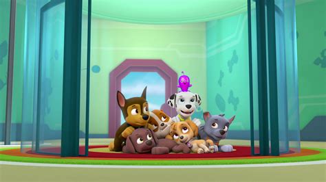 Watch Paw Patrol Season 3 Episode 19 Pups Get Growing Pups Save A Space Toy Full Show On