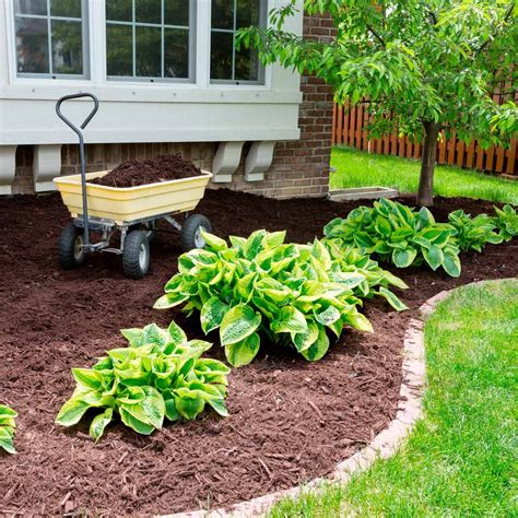 Diy Ideas Curb Appeal Front Yard Landscaping Ideas On A Budget
