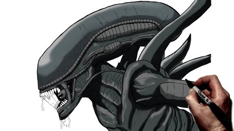 How To Draw A Xenomorph Step By Step Alien Youtube