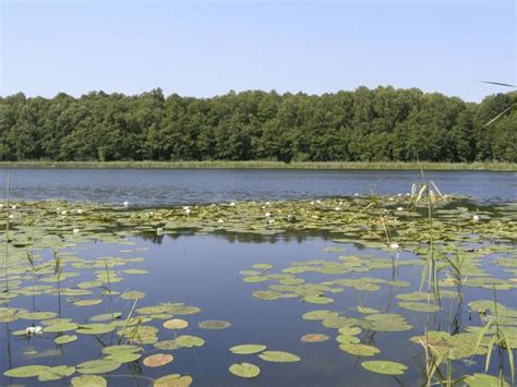 Park Krajobrazowy Puszcza Zielonka Veturo Pl Atrakcje Turystyczne W