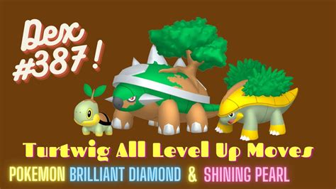 Pokemon Brilliant Diamond And Shining Pearl Turtwig All Level Up