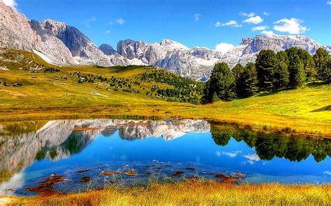 Hd Wallpaper Alpes Dolomites In Italy Spring Wild Flowers Green Grass Beautiful Yellow Flowers