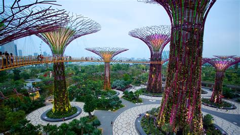 The garden was opened in year 2012 and featured the iconic supertrees and. PRACOWNIA NOWOCZESNOŚCI: Innowacyjny ogród botaniczny w ...