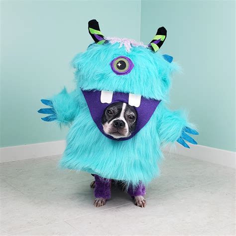 Lil Monster Dog Costume Rthemaskedsinger