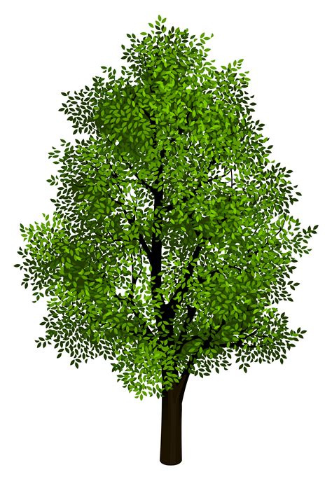Tree Isometric Projection Clip Art Green Tree Transparent Clipart