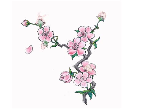 Maybe you would like to learn more about one of these? Simple Cherry Blossom Drawing at GetDrawings | Free download